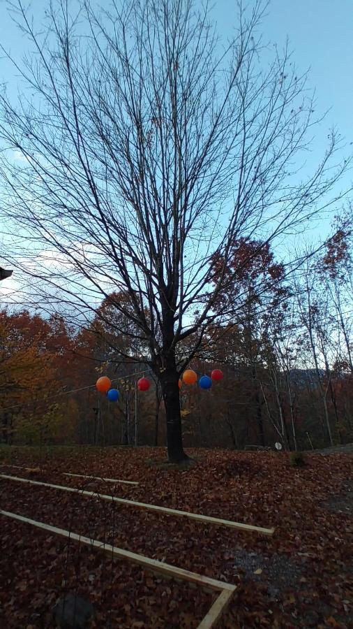 Up & Away! Mountain Cabin Βίλα Andrews Εξωτερικό φωτογραφία